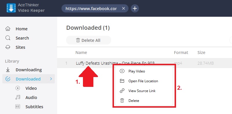 best facebook video downloader for pc