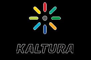 kaltura interactive video